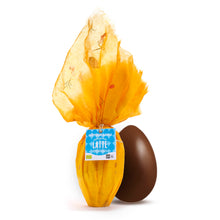 Carica l'immagine nel visualizzatore di Gallery, UOVO DI CIOCCOLATO AL LATTE | COD.00000069 | 270 g