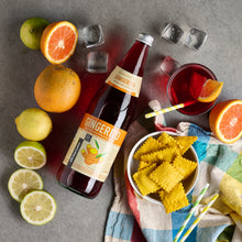 Carica l'immagine nel visualizzatore di Gallery, BEVANDA GASSATA ALLO ZENZERO GINGERITO | COD. 00001148 | 750 ml