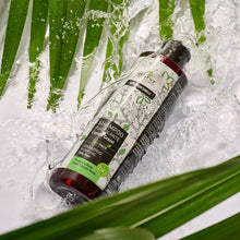 Carica l'immagine nel visualizzatore di Gallery, SHAMPOO PURIFICANTE PER CAPELLI GRASSI - TE' VERDE E MATE BIO | COD. 00003412 | 250 ml