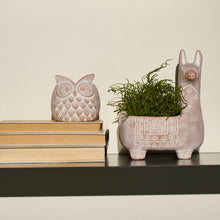 Carica l'immagine nel visualizzatore di Gallery, VASETTO GUFO TONDO | COD.00006002| 11x10xh.9,5 cm