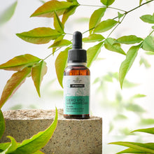 Carica l'immagine nel visualizzatore di Gallery, SIERO VISO UNIFORMANTE ANTI IPERFEZIONI TE' VERDE | COD.00007466 | 30 ml