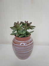 Carica l&#39;immagine nel visualizzatore di Gallery, VASO IN TERRACOTTA DECORATA PICCOLO | Cod.4000008600 |
